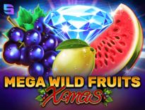 mega wild fruits xmas